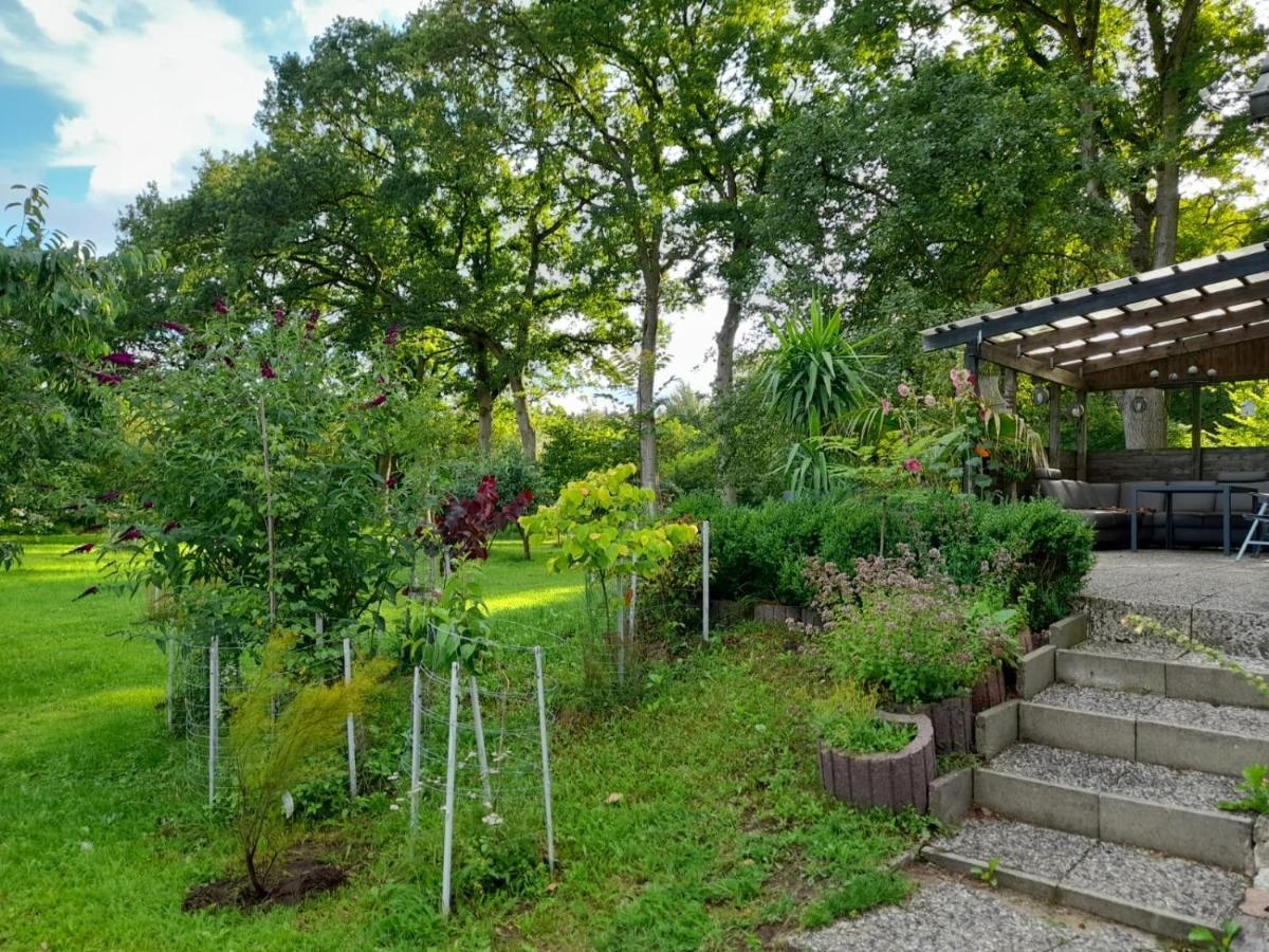 Haus Wald und Wiese Wohnung Wiese Ehndorf Exterior foto