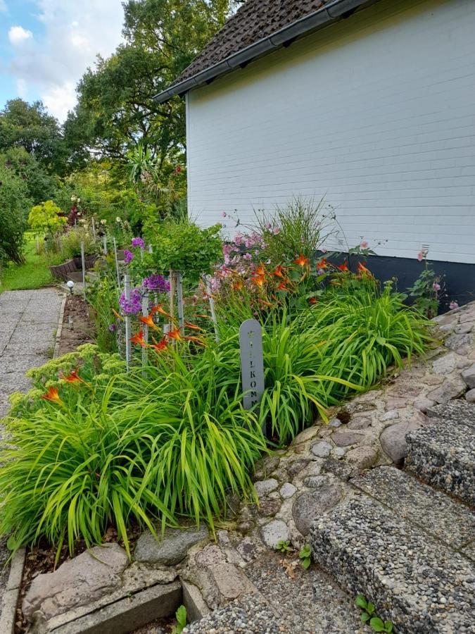 Haus Wald und Wiese Wohnung Wiese Ehndorf Exterior foto